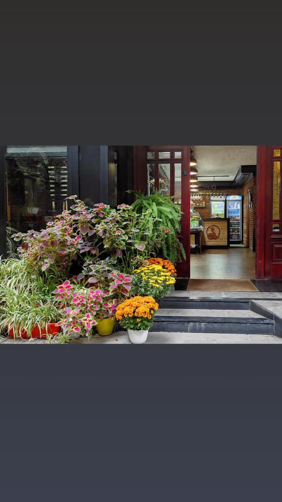 Hotel Livia Tirana Exterior photo